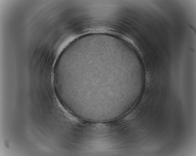 X0000100851424200807111205