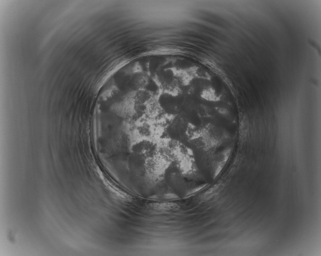 X0000100851425200807111205