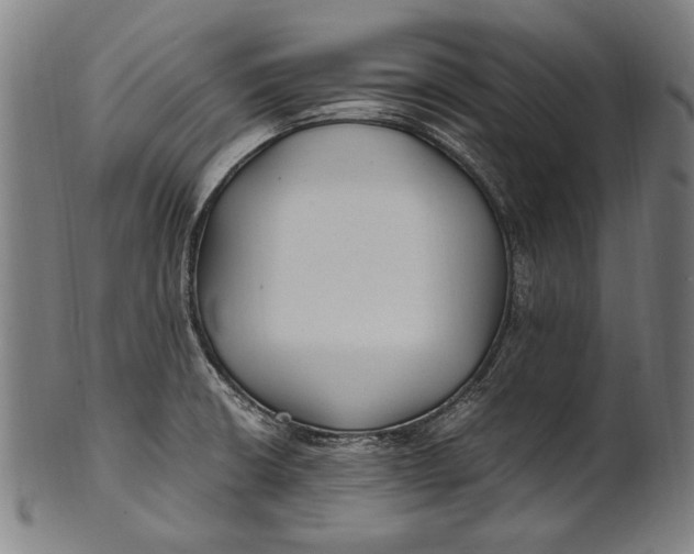 X0000100851426200807111205