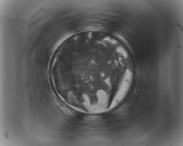 X0000100851427200807111205