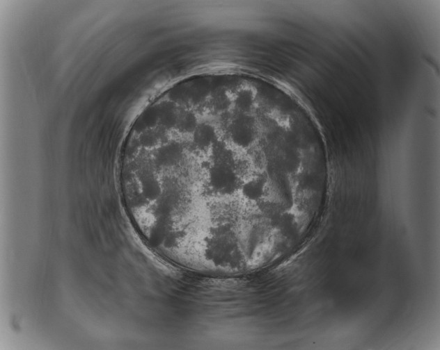 X0000100851429200807111205