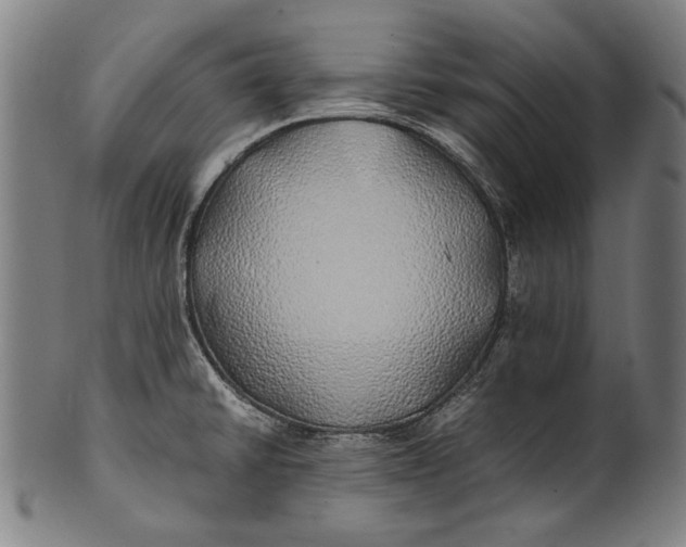 X0000100851430200807111205