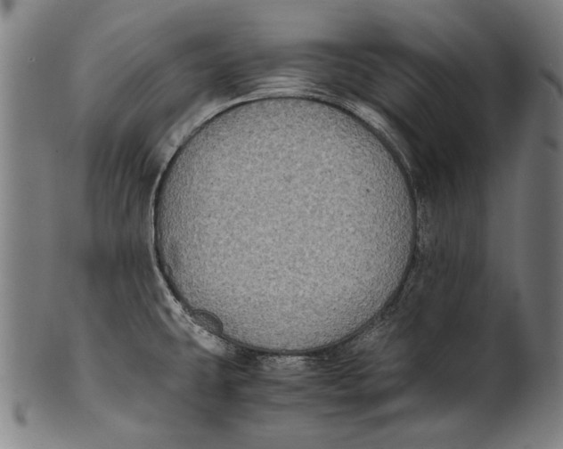 X0000100851431200807111205