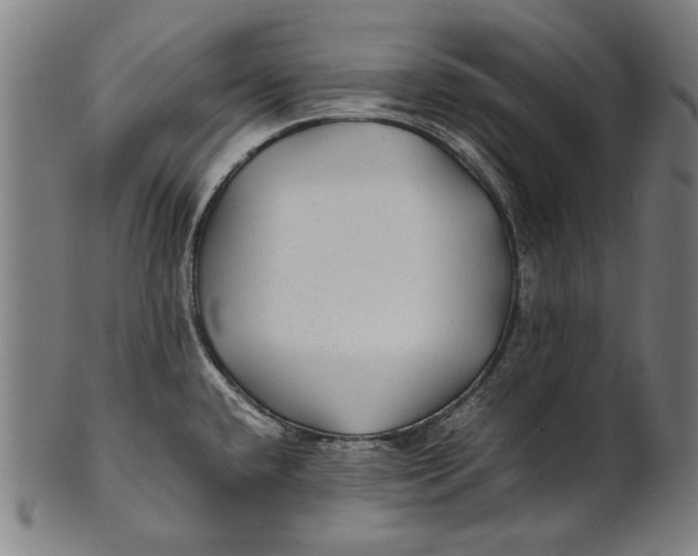 X0000100851432200807111205