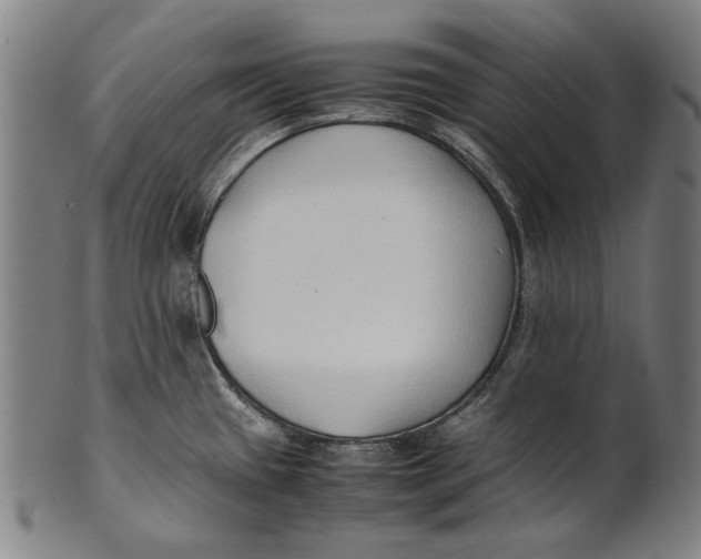 X0000100851433200807111205