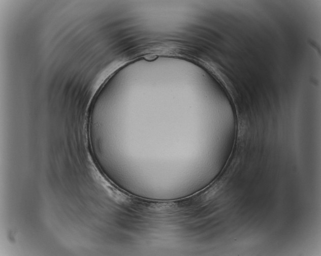 X0000100851434200807111205