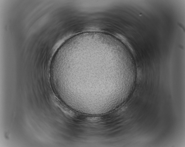 X0000100851435200807111205