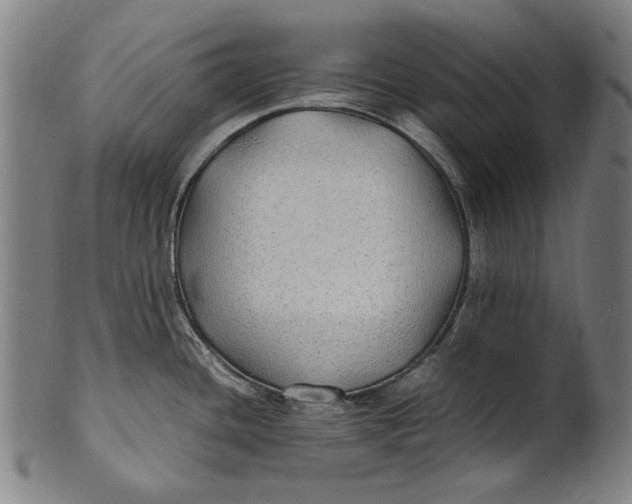 X0000100851436200807111205