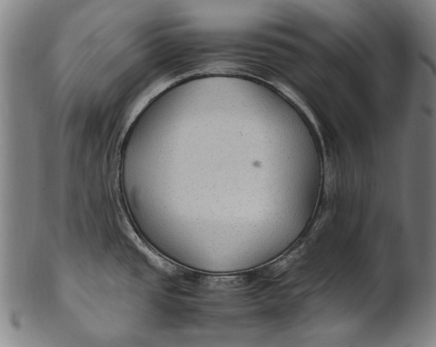 X0000100851437200807111205