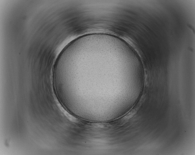 X0000100851438200807111205