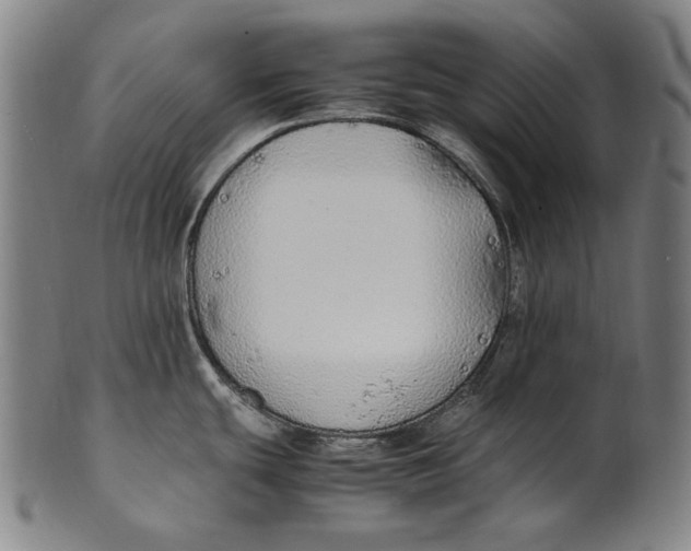 X0000100851439200807111205