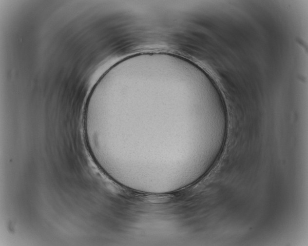 X0000100851440200807111205