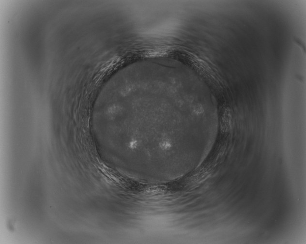 X0000100851441200807111204