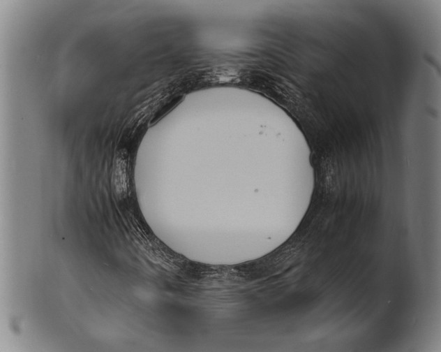 X0000100851442200807111204