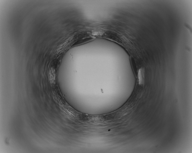 X0000100851443200807111204