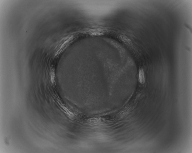 X0000100851444200807111204