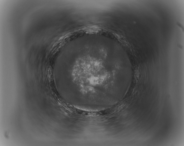 X0000100851445200807111204