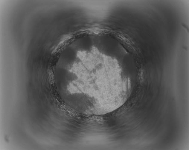 X0000100851446200807111204