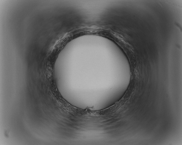 X0000100851447200807111204