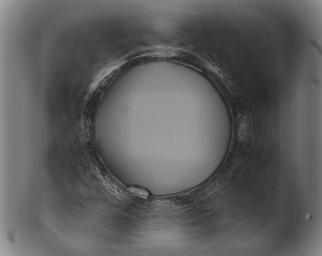 X0000100851448200807111204