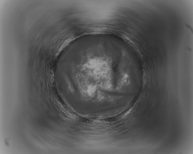 X0000100851449200807111204