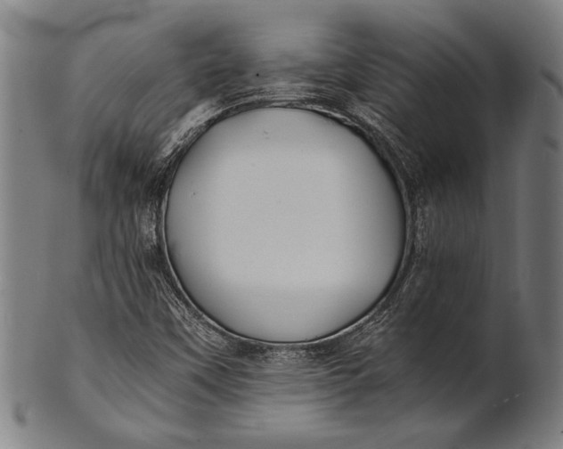 X0000100851451200807111204