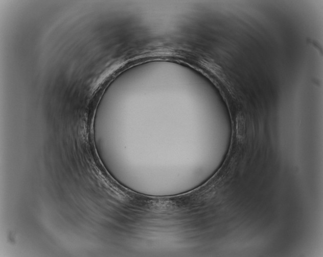 X0000100851452200807111204