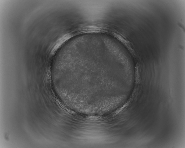 X0000100851453200807111204