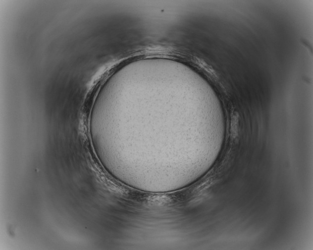 X0000100851454200807111204