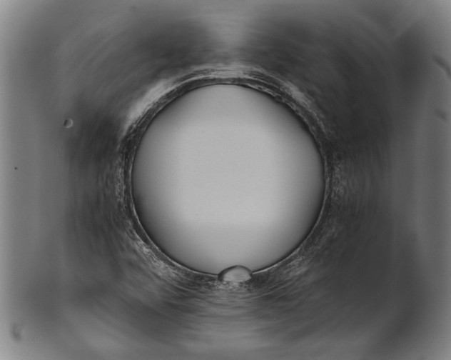 X0000100851456200807111204