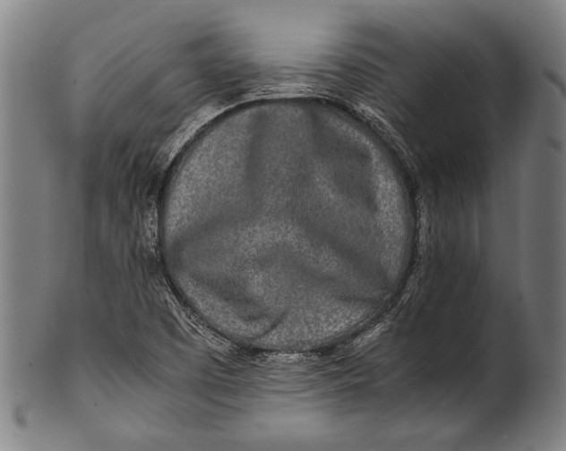 X0000100851457200807111204