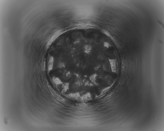 X0000100851459200807111204