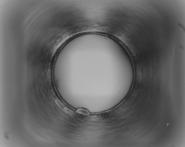 X0000100851460200807111204