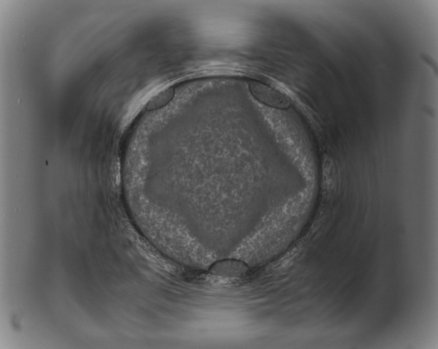 X0000100851461200807111204