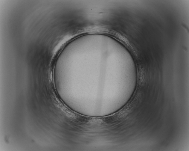 X0000100851462200807111204