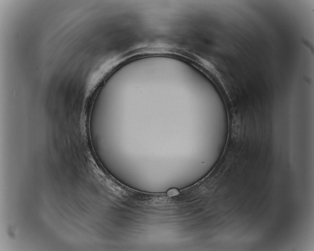 X0000100851464200807111204