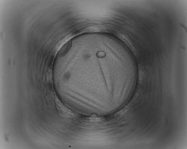 X0000100851465200807111204