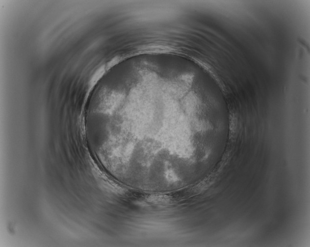 X0000100851466200807111204