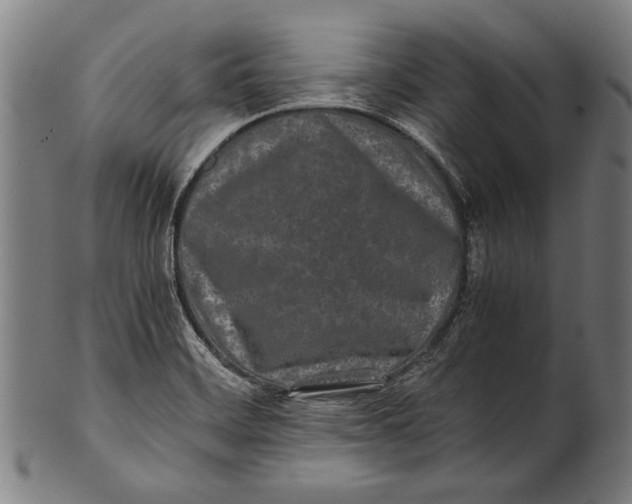 X0000100851468200807111204