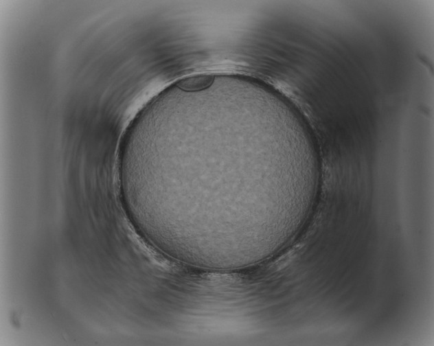 X0000100851469200807111204