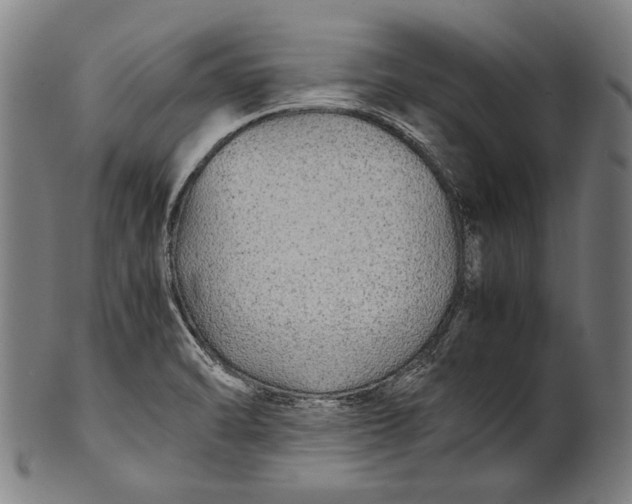 X0000100851470200807111203