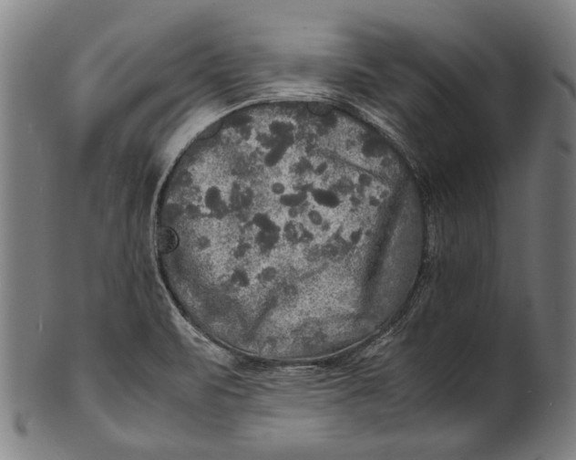 X0000100851471200807111203