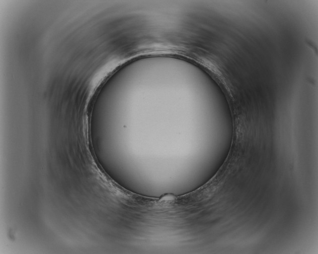 X0000100851472200807111203