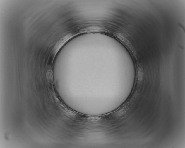 X0000100851473200807111203