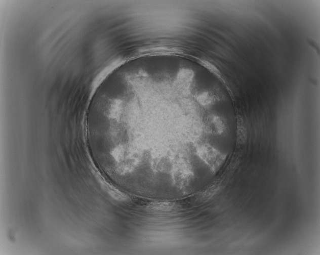 X0000100851474200807111203