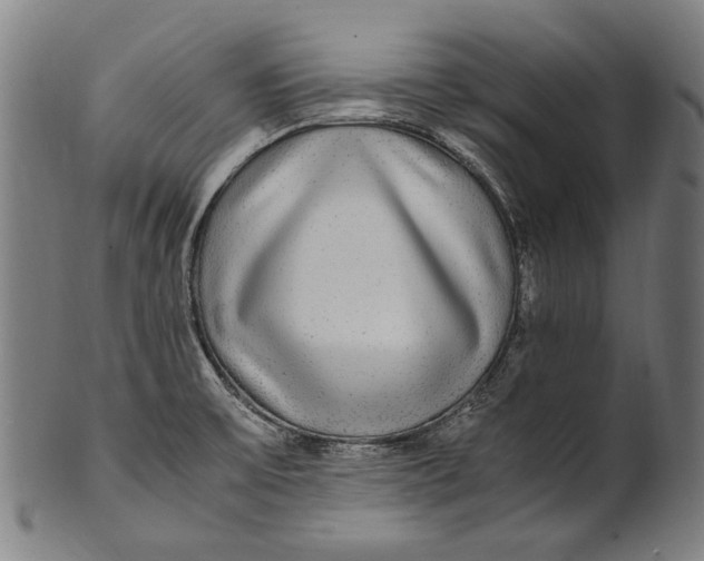 X0000100851475200807111203