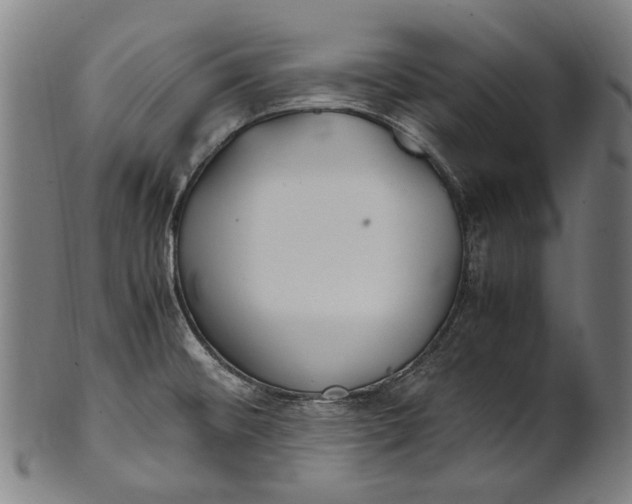 X0000100851476200807111203