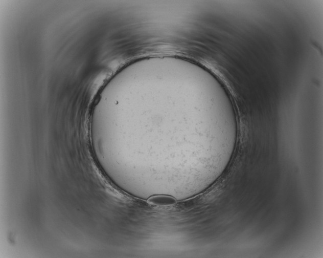 X0000100851477200807111203