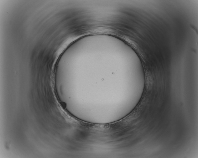 X0000100851478200807111203