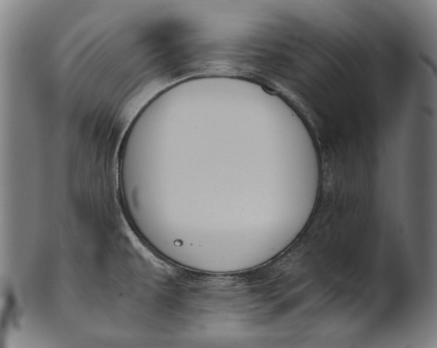 X0000100851479200807111203